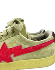 Bape Crapestas